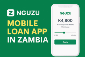 Nguzu Loan Zambia