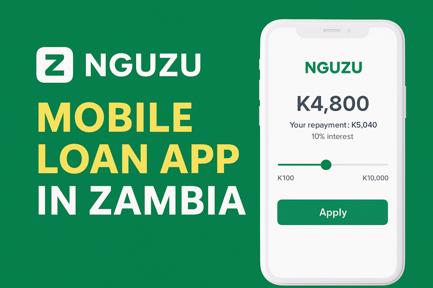 Nguzu Loan Zambia